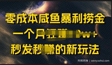 零成本咸鱼暴利捞金，一个月收益过w+，秒发新玩法