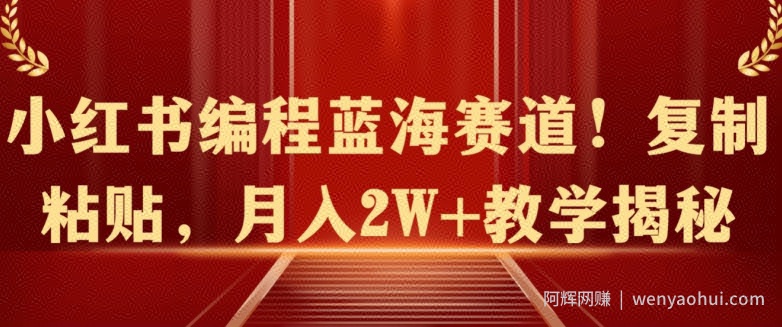 小红书编程蓝海赛道!复制粘贴，月入2W+教学揭秘
