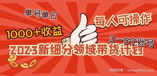 2023新细分领域带货计划：单号单日1000+收益不难，每人可操作3-5个账号
