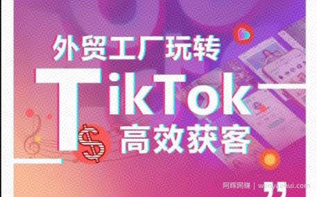 外贸工厂玩转TikTok高效获客，多种引流方式与账号定位技巧，拆解爆款短视频打造成功案例
