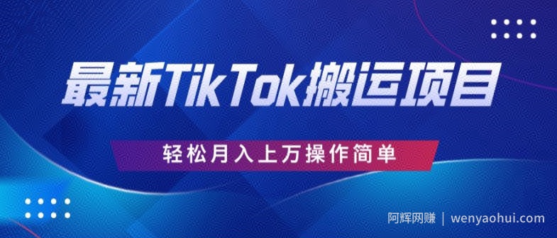 史上最简单，搬运TikTok历史视频，去重后轻松月赚万元
