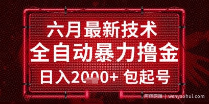 六月最新技术全自动暴力撸金，稳定日入2k+包起号，长期稳定【揭秘】