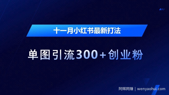 十一月小红书最新打法，单图引流300+创业粉【揭秘】