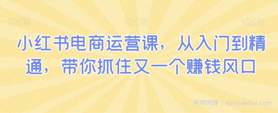 小红书电商运营课，从入门到精通，带你抓住又一个賺米风口