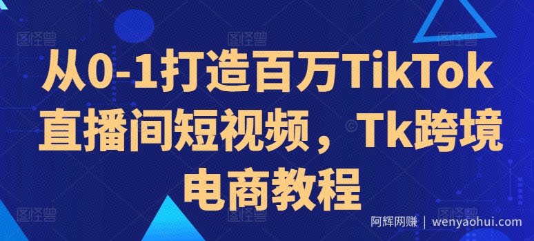 从0-1打造百万TikTok直播间短视频，Tk跨境电商教程