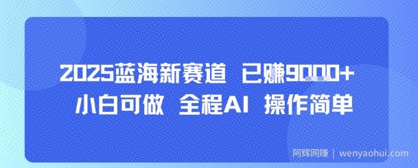 2025蓝海新赛道 已挣9k+ 小白可做 全程AI 操作简单