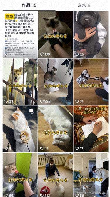 同城副业，日赚800块，有点累但是很賺米！