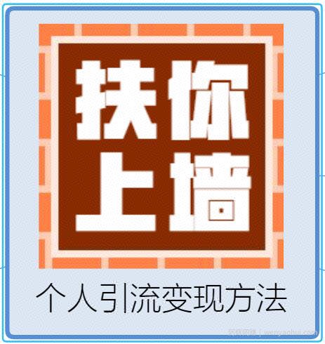 月入3W+扶你上墙，抖音个人商业引流变现秘籍，单日可赚1000-2000元（视频+文档）