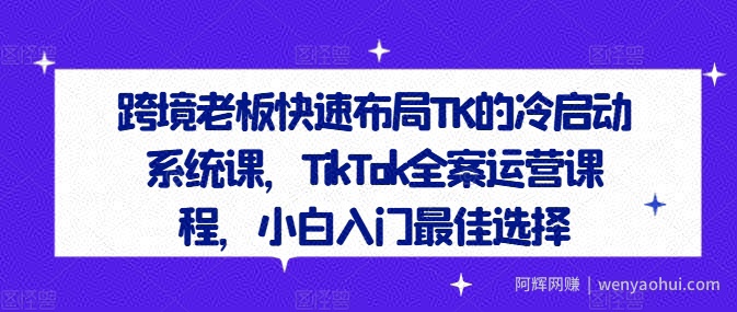 跨境老板快速布局TK的冷启动系统课，TikTok全案运营课程，小白入门最佳选择