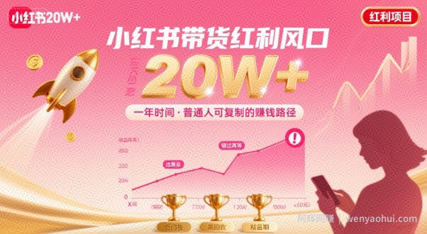 一年时间靠小红书带货项目年入20w+，最不能错的大红利项目
