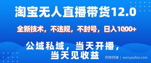 淘宝无人直播12.0，公域私域技术，不封号，不违规布局双十一流量风口，日入1k（独家技术）【揭秘】