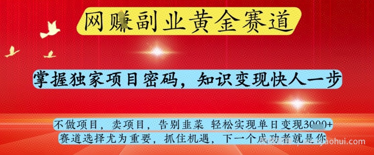网创副业黄全赛道,掌握独家项目密码,知识变现快人一步,告别韭菜轻松实现单日变现1k+【揭秘】
