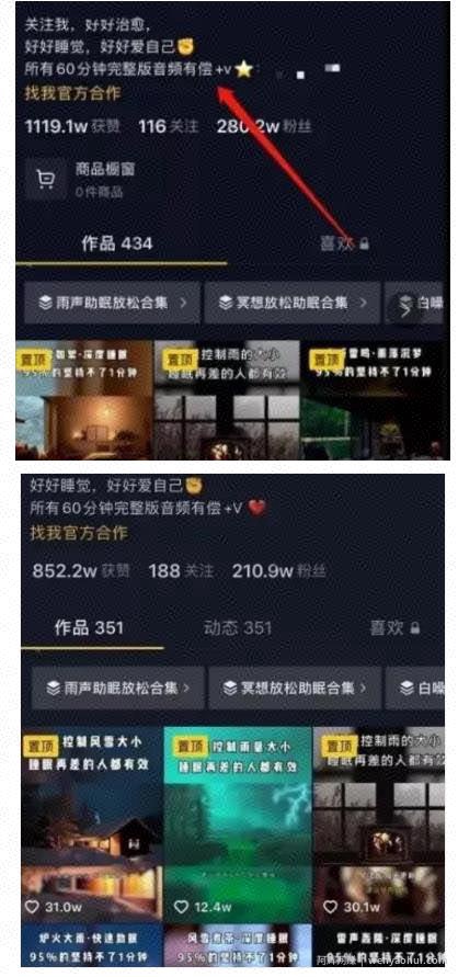 副业实操：抖音蓝海搬砖项目，她每天花费1小时~靠一个视频赚25w+！