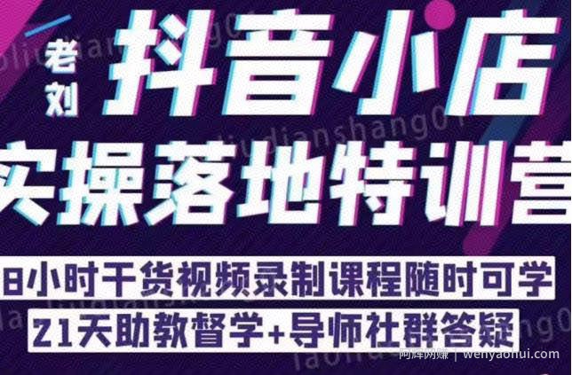 抖音小店实操落地特训营：抖音小店无货源精细化运营，抖店商品卡流量（22节）