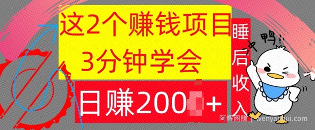 这2个项目，3分钟学会，日赚几张，懒人捡钱