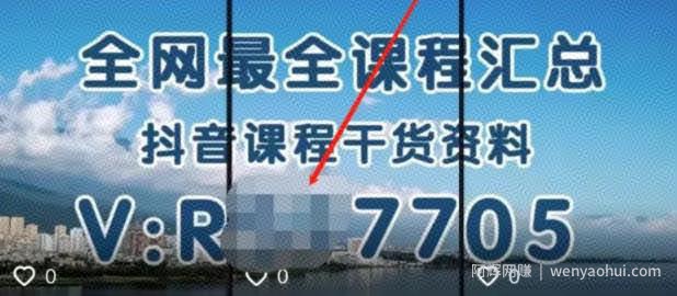 被动获取流量的賺米项目：抖音评论截流卖资料，也能日入200元