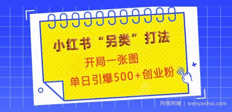 小红书“另类”打法，开局一张图，单日引爆500+精准创业粉【揭秘】