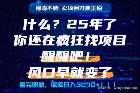 什么？25年你还在疯狂找项目做，醒醒吧，看完这些你全都懂了！【揭秘】