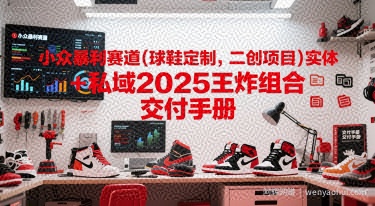 小众暴利赛道(球鞋定制，二创项目)实体+私域2025王炸组合  交付手册