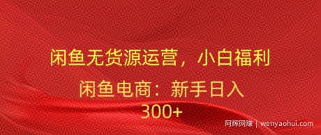 闲鱼无货源运营，小白福利，日入300加