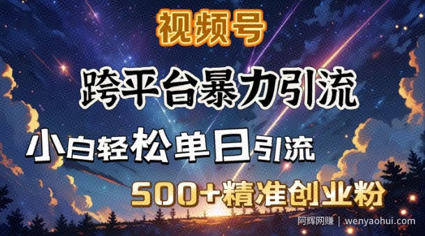 跨平台暴力引流，私域完美闭环，日引500+精准创业粉