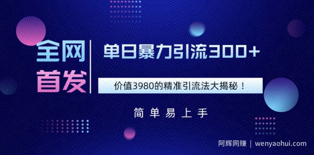全网首发,价值3980单日暴力引流300+的精准引流法大揭秘