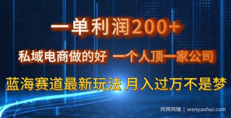 一单利润200私域电商做的好，一个人顶一家公司蓝海赛道最新玩法【揭秘】