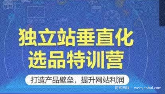 独立站垂直化选品特训营，打造产品壁垒，提升网站利润
