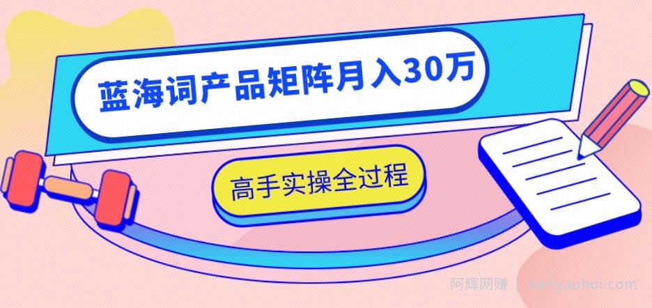 2020最新无货源店群项目,蓝海词产品矩阵月入30万,高手实操全过程(视频教程)