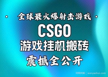 【年底大揭秘】基于全球最火爆的射击CSGO游戏挂G搬砖，日入5张+，震撼公开