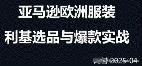 跨境电商选品案例24-25年，聚焦跨境电商选品策略与运营优化，助力卖家挖掘蓝海市场