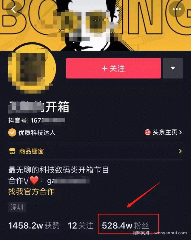分享购物开箱变现方式，能月入上万的项目