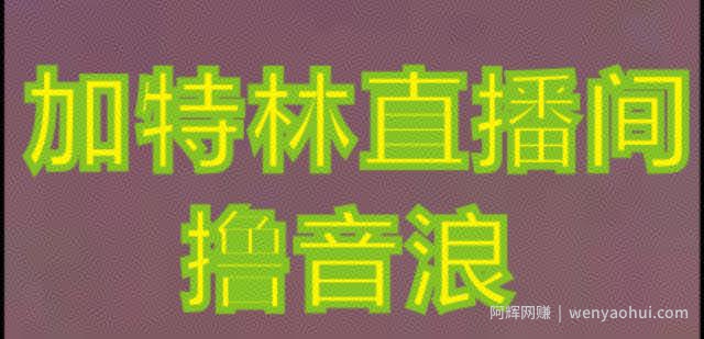 抖音加特林直播间搭建技术，抖音0粉开播，暴力撸音浪，2023新口子，每天800+【素材+详细教程】