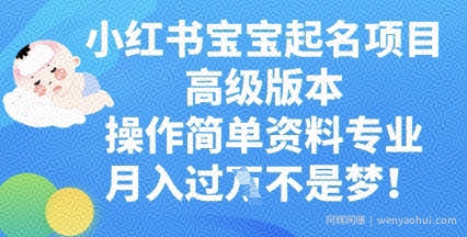 小红书宝宝起名项目高级版本，操作简单，资料专业，月入过W