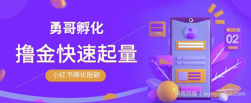 勇哥·小红书撸金快速起量陪跑孵化营,教你在小红书平台实现副业的睡后收入
