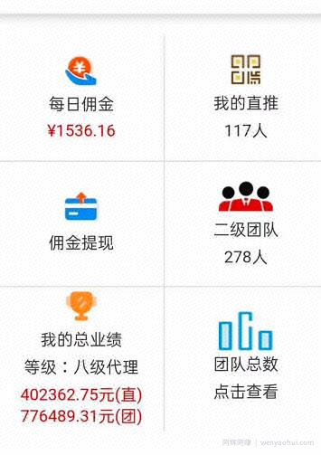 花了100块大洋套来的賺米项目-聊天賺米