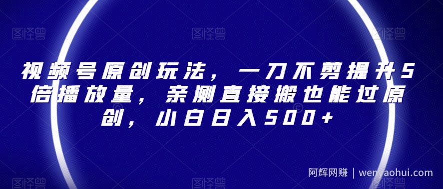 视频号原创玩法，一刀不剪提升5倍播放量，亲测直接搬也能过原创，小白日入500+【揭秘】