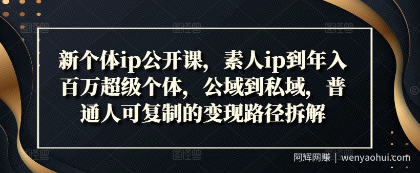 新个体ip公开课，素人ip到年入百万超级个体，公域到私域，普通人可复制的变现路径拆解