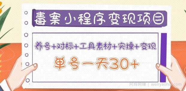 森罗万项毒案小程序变现项目：养号+对标+工具素材+实操+变现，单号一天30+