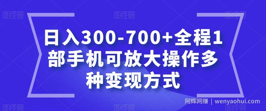 日入300-700+全程1部手机可放大操作多种变现方式【揭秘】