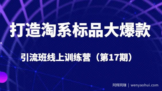 打造淘系标品大爆款引流班线上训练营（第17期）5天直播授课