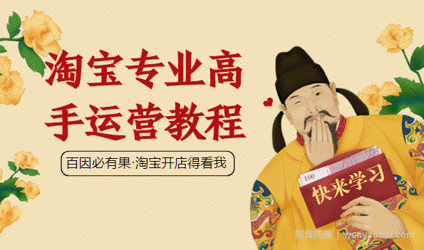 暴疯团队VIP全套賺米项目课程（淘宝开店之大运营）