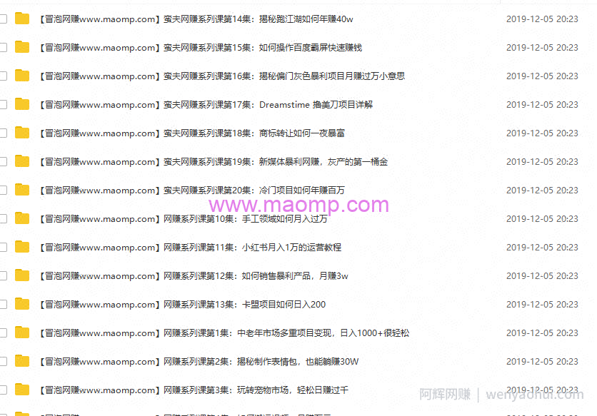 蛮夫网创系列付费实战课程 价值1280