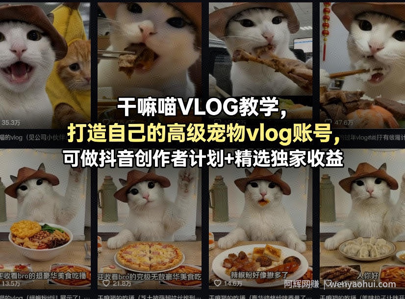 干嘛喵VLOG教学，打造自己的高级宠物vlog账号，可做抖音创作者计划+精选独家收益