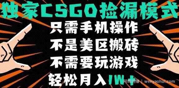 CSGO自动捡漏项目，最新独家玩法，不是美区搬砖，不需要了解和玩游戏，新手小白轻松月入1W+【揭秘】