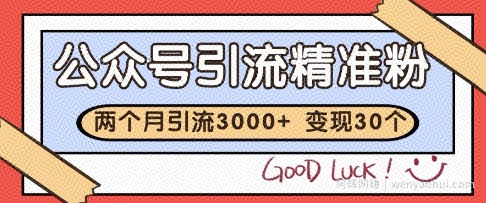 公众号精准粉引流玩法，2个月3000+精准粉，变现30个W【揭秘】