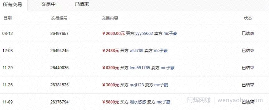张子豪流量站项目：实战打造月入万元的流量站的项目（视频课程完结）