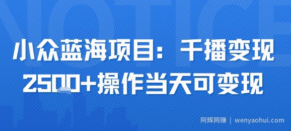 小众蓝海项目，千播变现2.5k+操作当天可变现