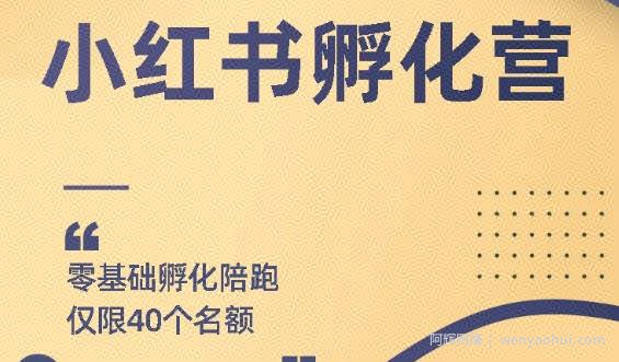 勇哥小红书撸金快速起量项目：教你如何快速起号获得曝光，做到月躺赚在3000+