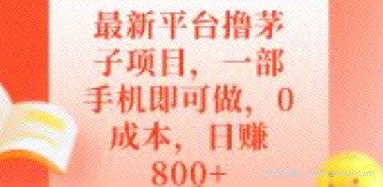 最新平台撸茅子项目，一部手机即可做，0成本，日赚800+